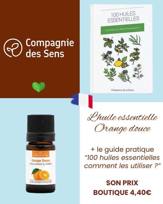 ÉVEIL ET LUMIÈRE - 3